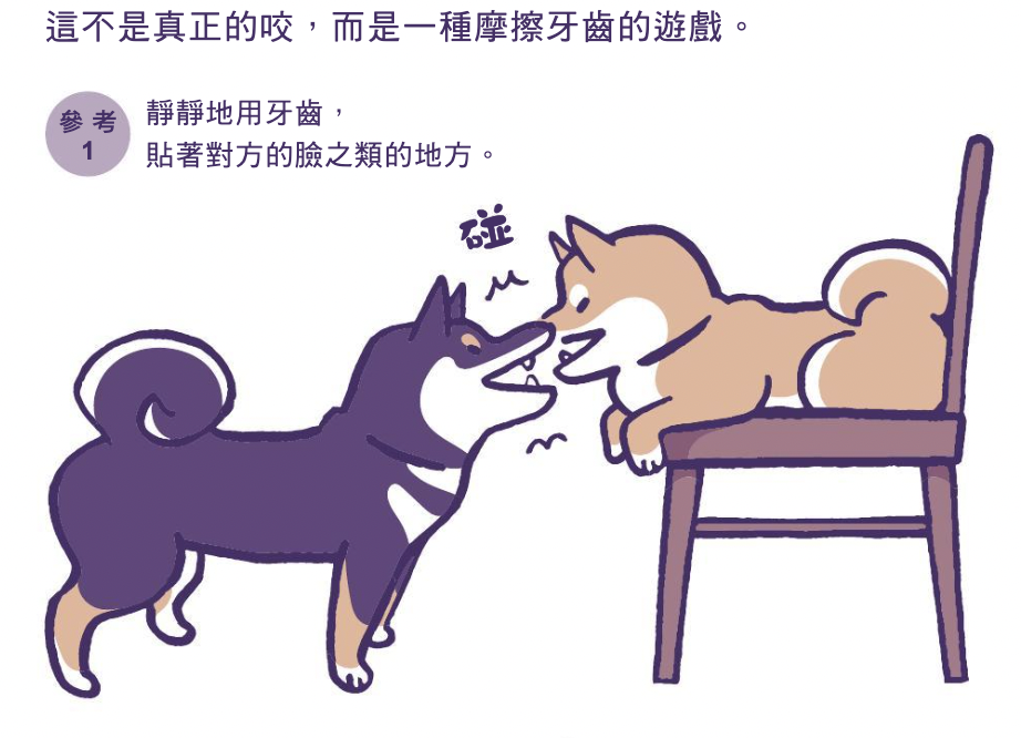 柴犬玩耍的方式，總是跟別人不一樣(柴老大新聞台)
