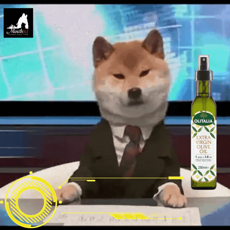 橄欖油對柴犬精子活力與精液的影響與好處(柴老大新聞台)
