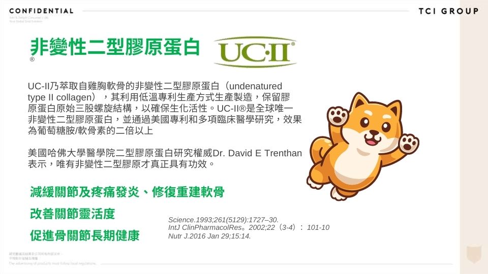 UC-II對關節炎的柴犬重要性，需補充多少(柴老大新聞台)