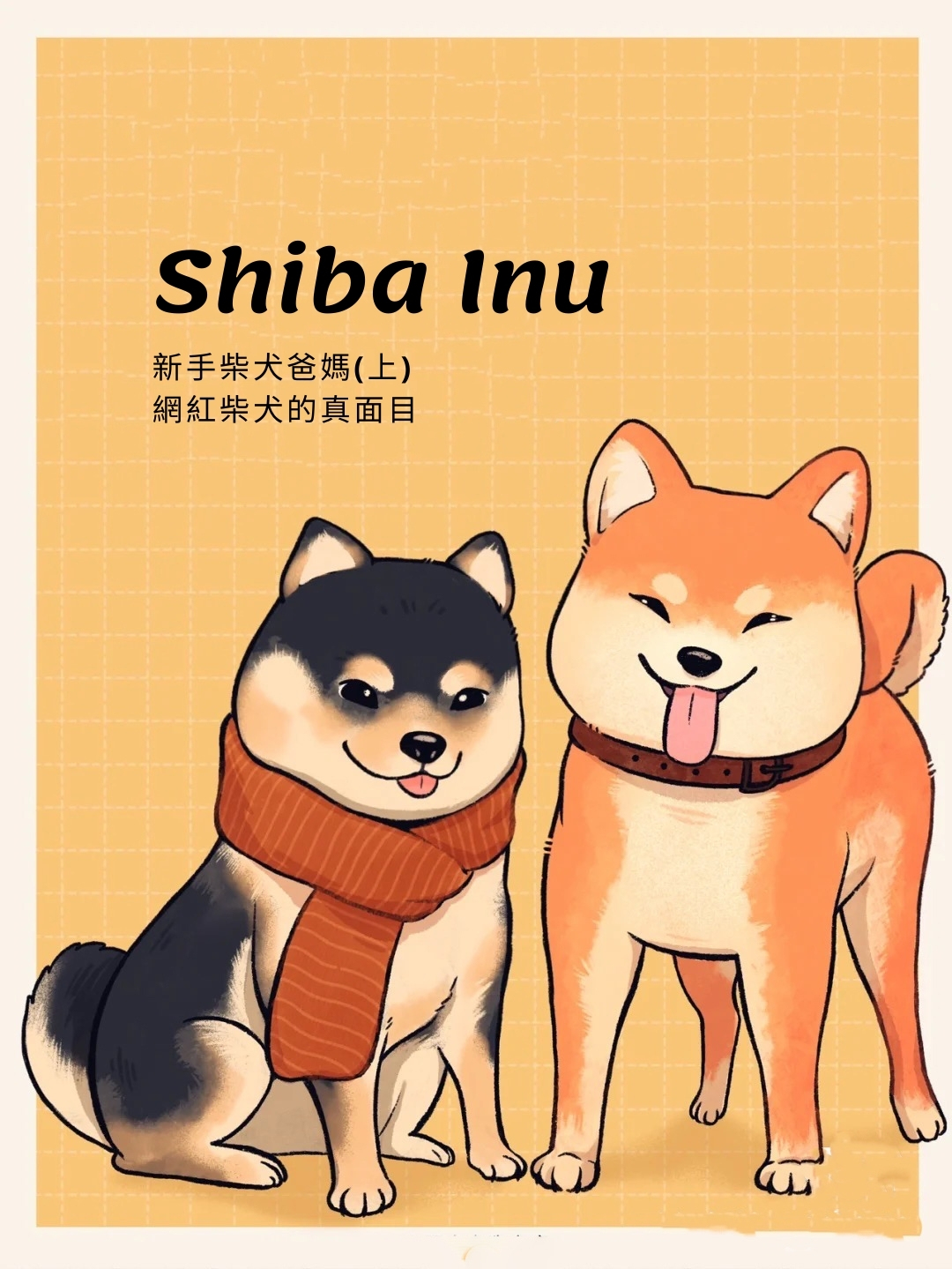 柴犬是如何爆紅的 | 柴犬小百科(柴老大新聞台)