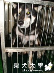 【基隆市】誰去關心它~~~(原發表者:nightku)