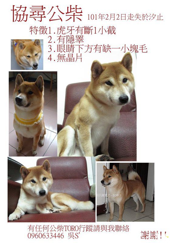 【基隆市】協尋汐止赤色公柴(原發表者:黑妹麻)