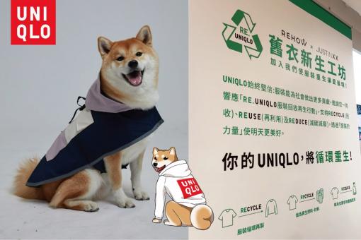 UNIQLO永續再生，把舊衣改造成柴犬的時尚衣快閃活動(柴老大新聞台)
