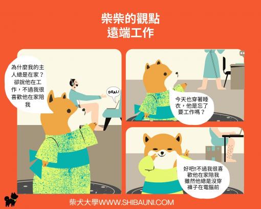 柴柴眼中的遠端工作(柴老大新聞台)