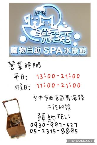 柴犬Paffy｜皮膚變好了(開箱分享)