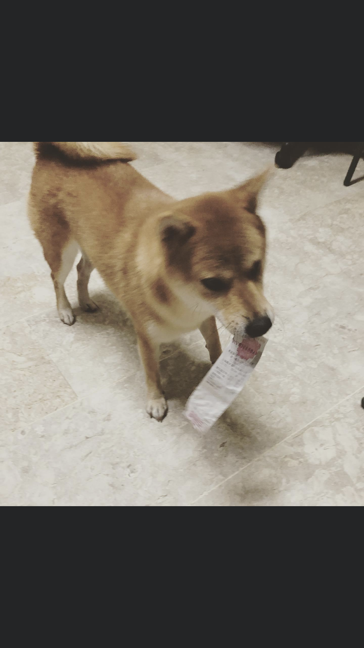 [相簿]發票特派員