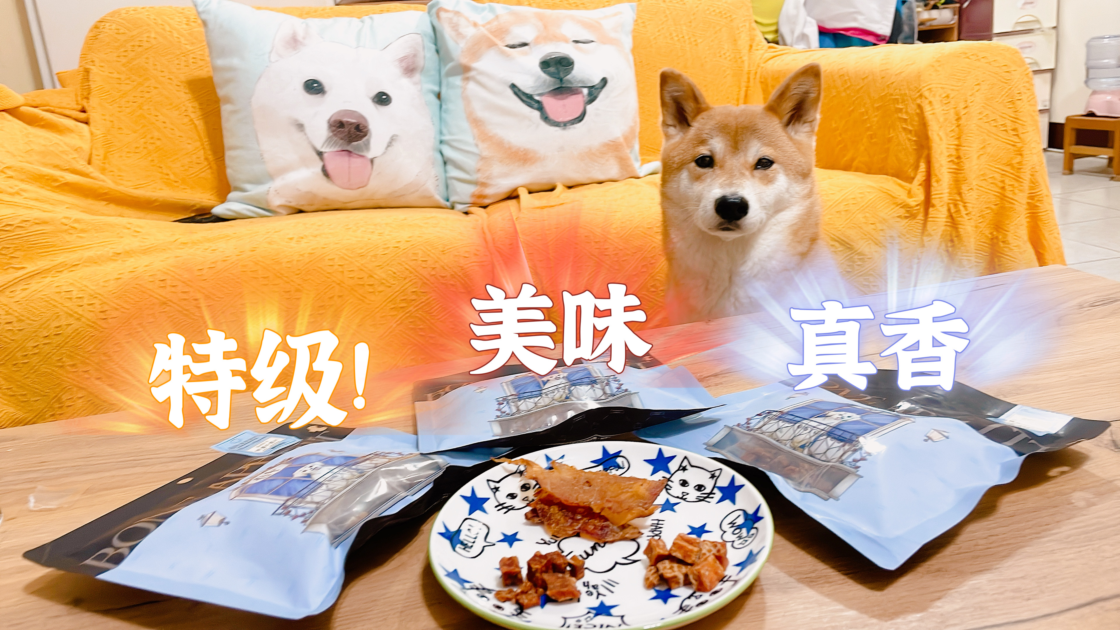 [開箱分享]柴犬點點｜BONE APPETIT零食開箱