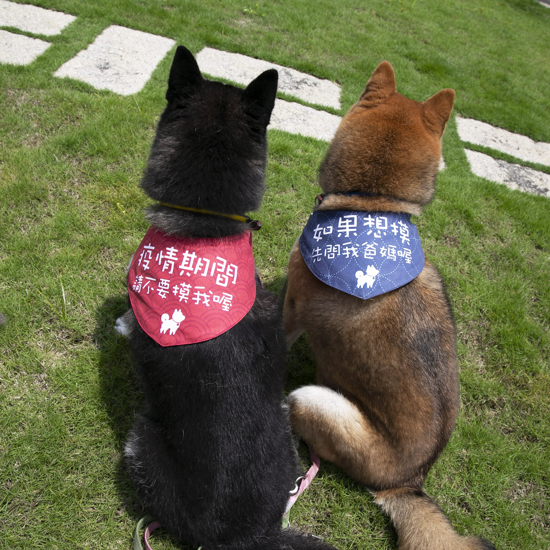 [相簿]防疫從小做起