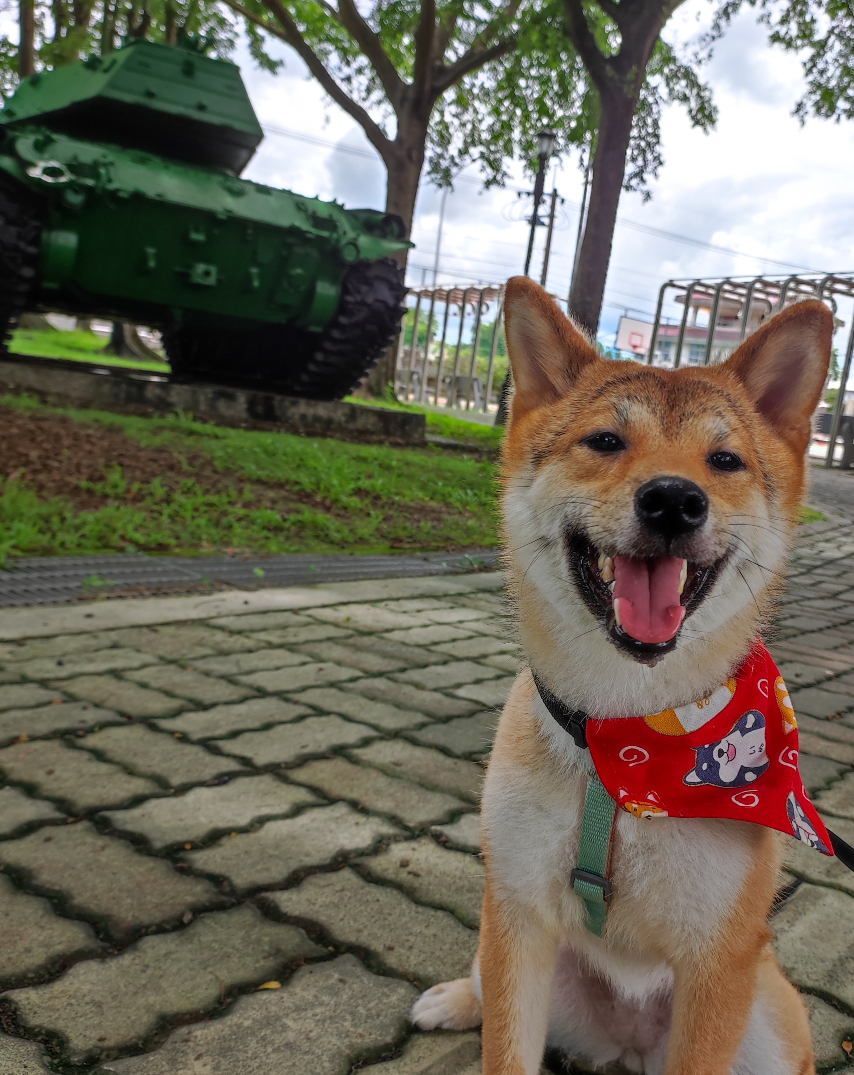 [開箱分享]柴犬糖糖｜分享好物