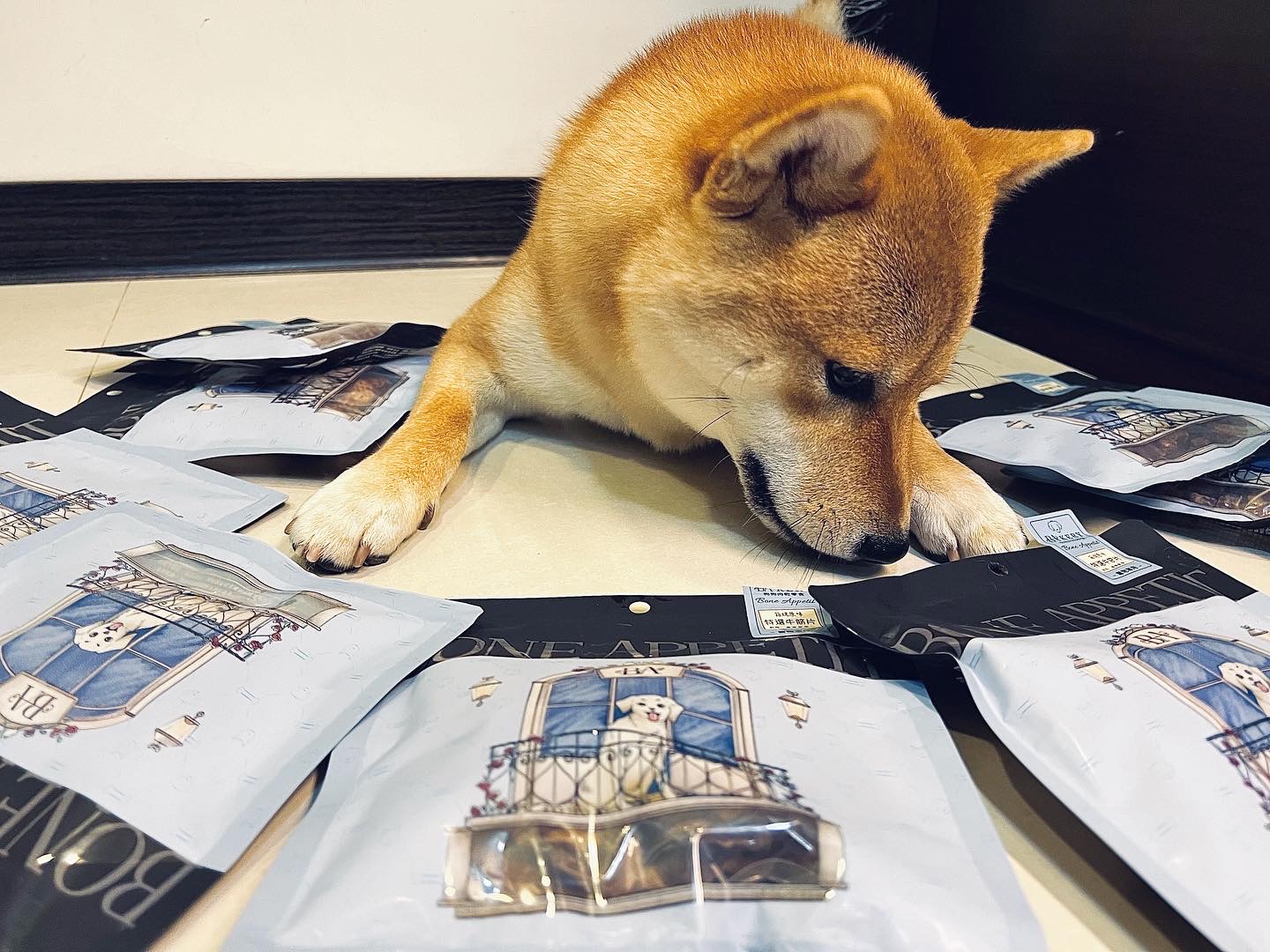 [開箱分享]柴犬胡迪｜BONE APPETIT零食分享