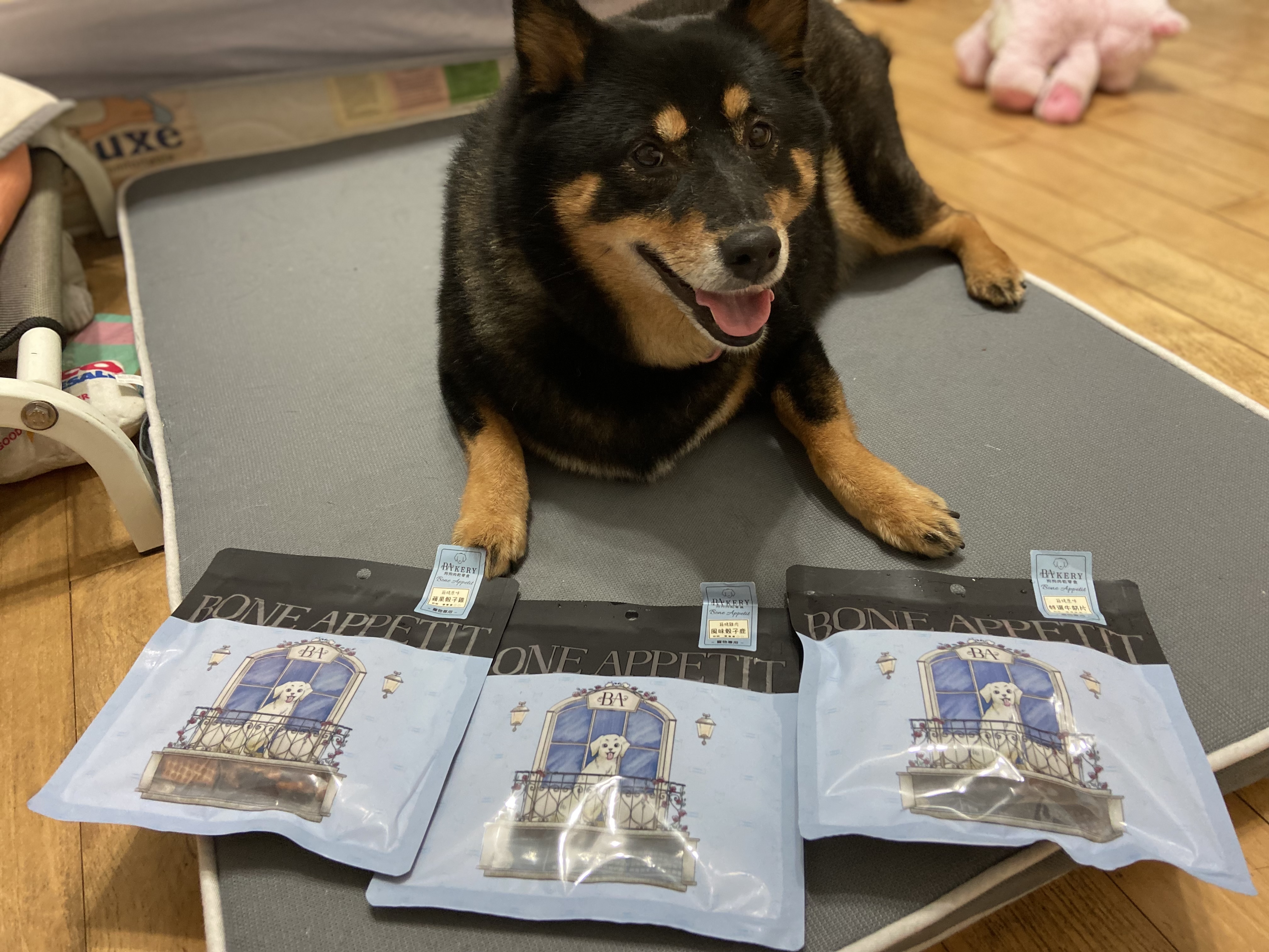 [開箱分享]柴犬Doreen｜BONE APPETIT 零食開箱