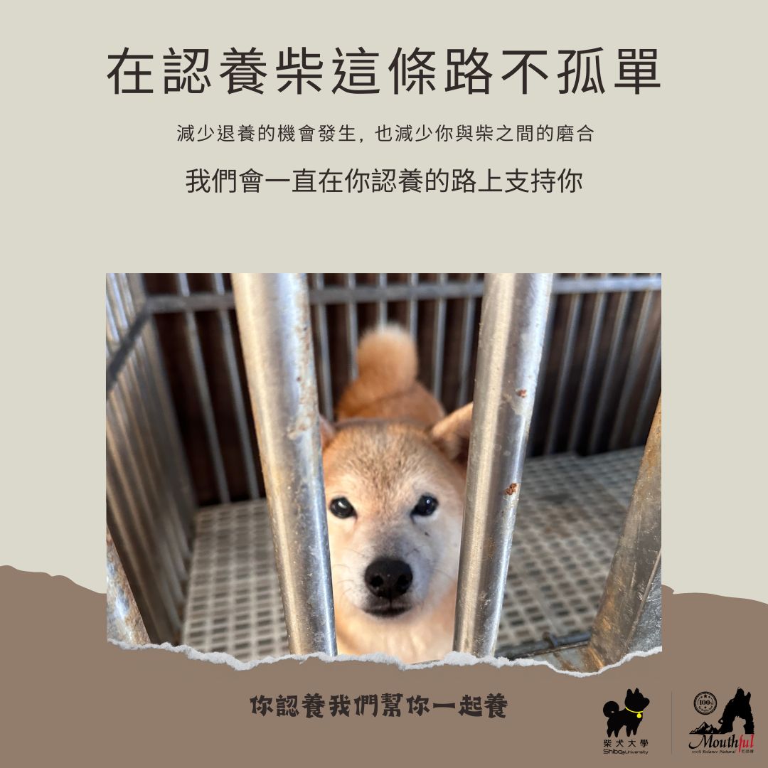 [全台巡迴] 你認養，我們一起協助你