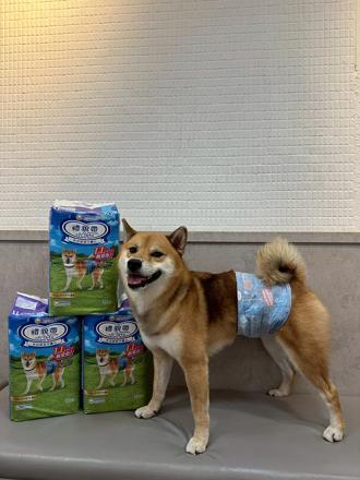 雙十一優惠‼️嬌聯禮貌帶｜嬌聯寵物 Unicharm PET(優惠活動)