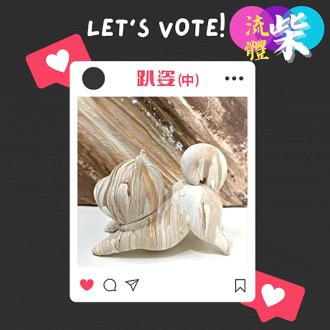 【趴姿票選】露營趴流體票選活動(品牌活動)