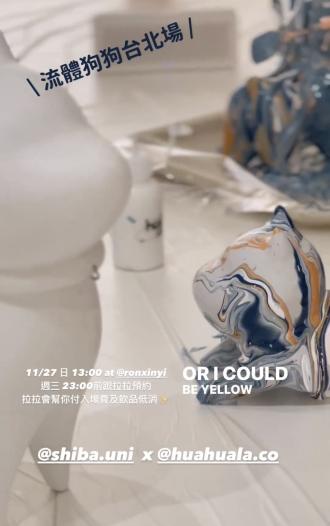 【台北場快閃】叮噹柴流體教學 限6名(北部)