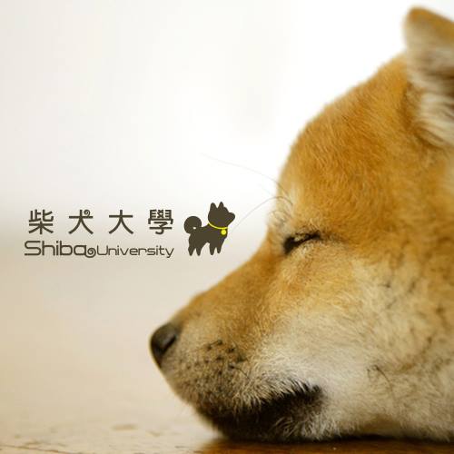 [品牌活動]柴犬抱枕毛毯