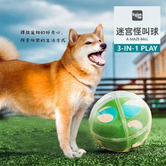 美國KYJEN益智玩具 迷宮球