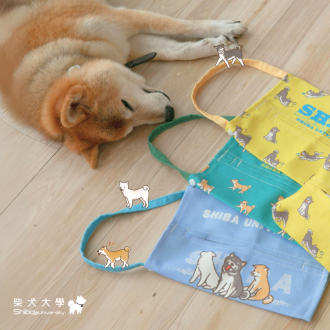 柴犬大學 柴犬三重奏面紙套 面紙盒 面紙收納 車用面紙套 柴犬周邊