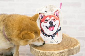 啾咪柴犬水壺袋 飲料提袋 冰霸杯 柴犬文創商品 送禮
