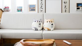 柴犬大學 柴犬抱枕毛毯 珊瑚絨