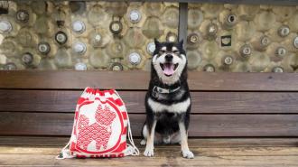 叮噹狗束口後背包 帆布背包 柴犬後背包