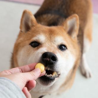 Mouthful毛師傅 鱉蛋凍乾 天然爆毛神器               