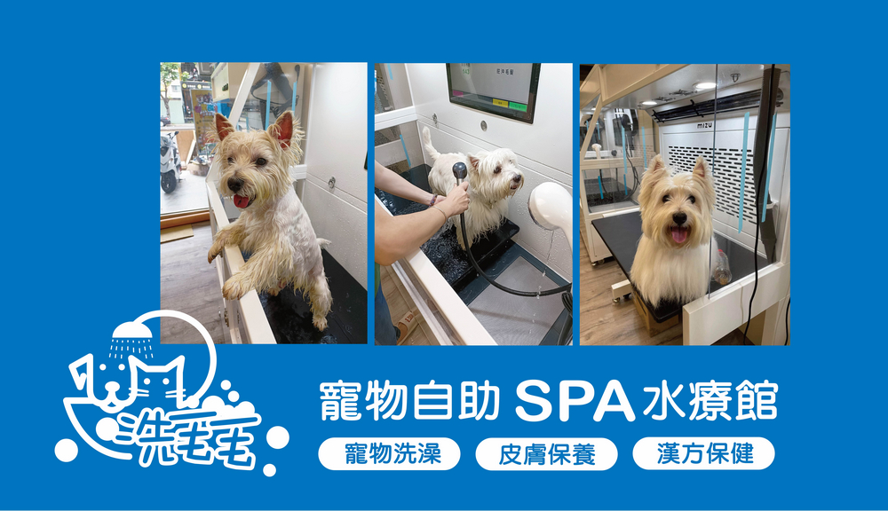 洗毛毛寵物自助spa水療館