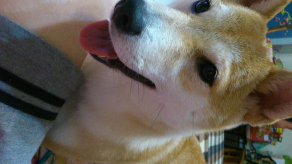 nunu帶著妞妞來報到囉！