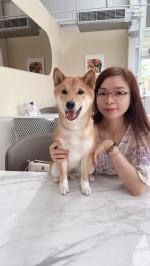 吳靜如