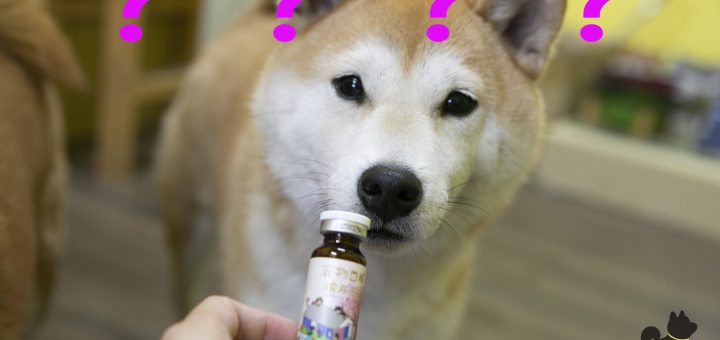 柴犬腿腿黑人問號